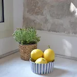 Casa William * Порт-Аццурро