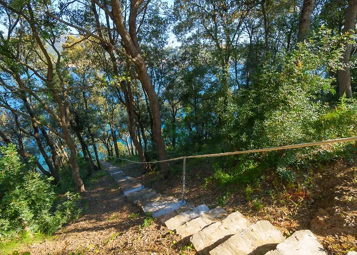 Casa William Villa *